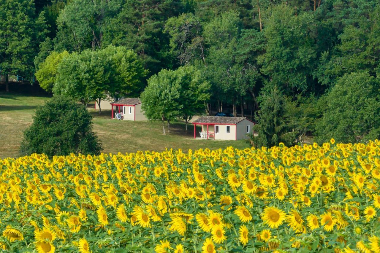 La Foret Enchantee Cornille  Dış mekan fotoğraf